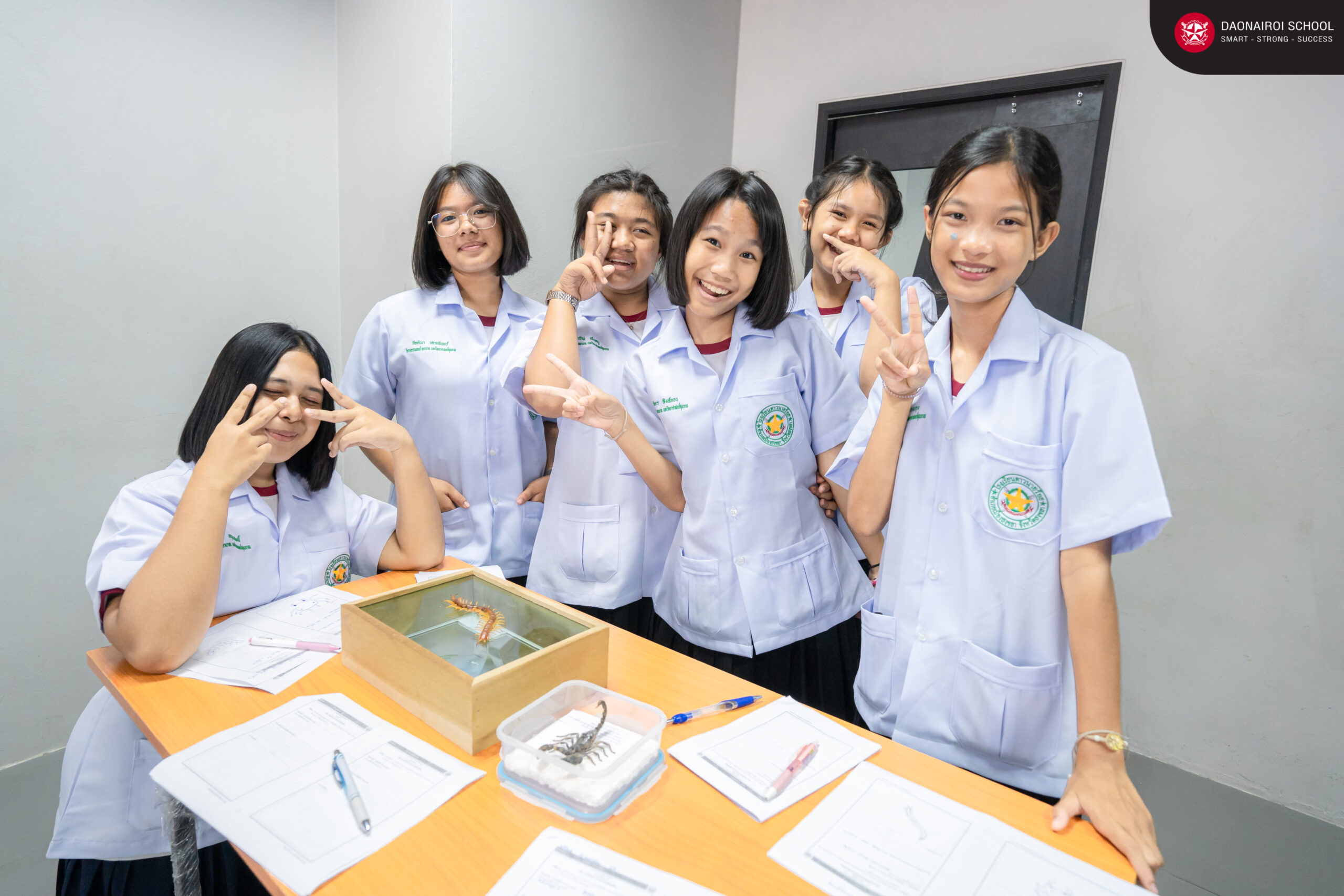 การฝึกอบรมทางการแพทย์